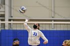 Volleyball vs RWU  Wheaton Women’s Volleyball vs Roger Williams University. : Volleyball, VB